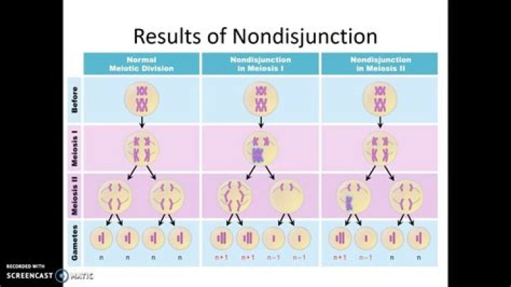 Which disorder is a direct result of nondisjunction