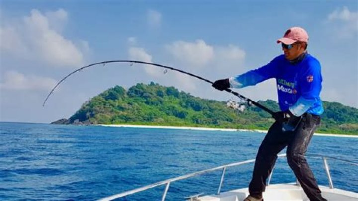 Which is best fishing rod in India?