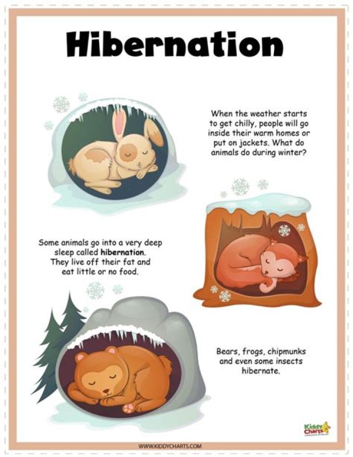 Which is better hibernate or sleep?