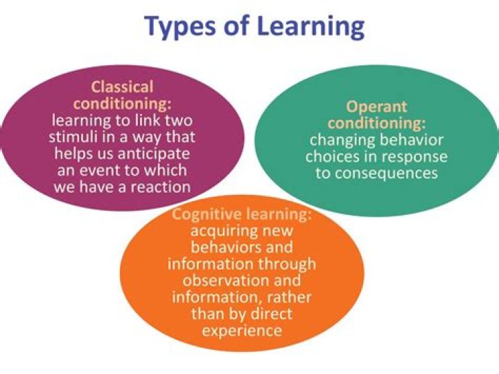 Which of the following describes the main difference between observational learning and operant conditioning