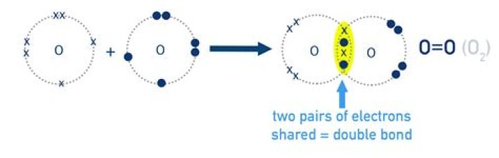 Which of the following is a bond in which electrons are shared unequally?