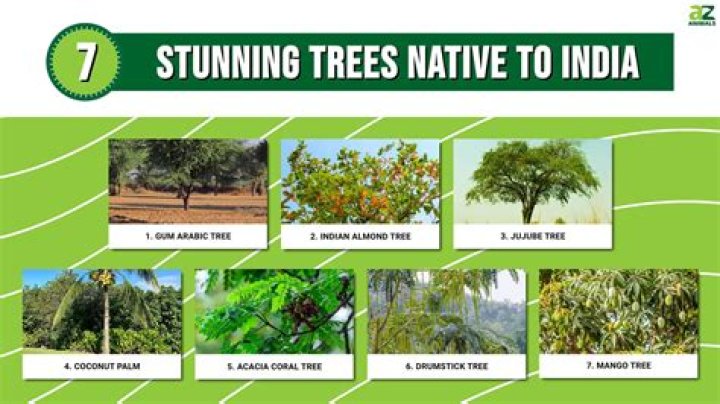 Which tree will grow faster in Tamil Nadu?