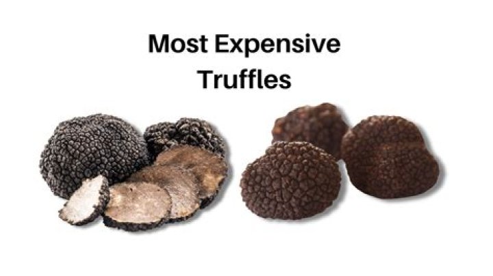 Which truffle is more expensive?