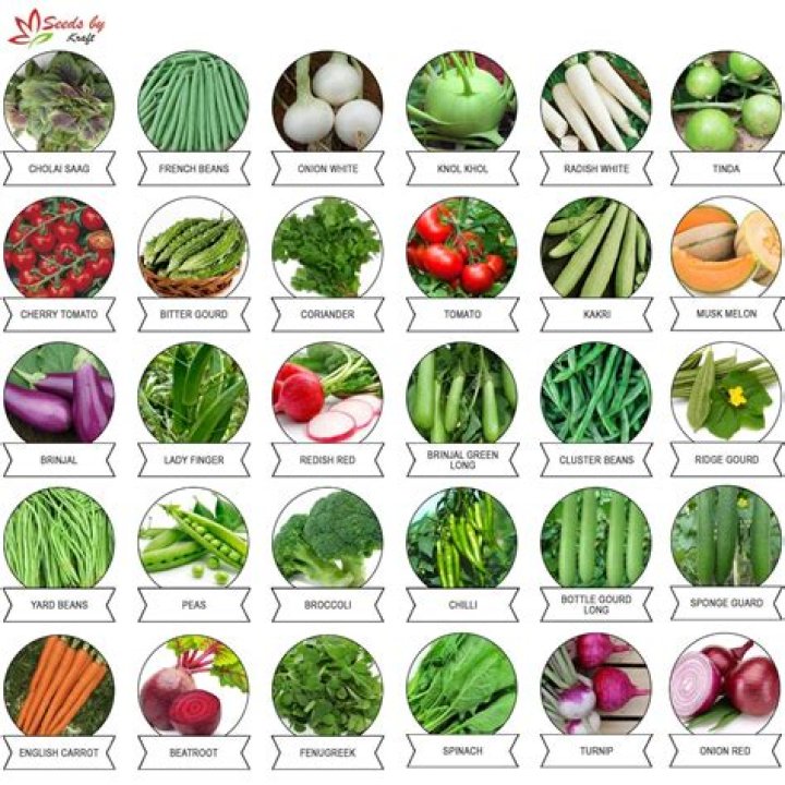 Which vegetable has sour in taste