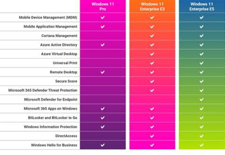 Which versions of Windows does Microsoft support?
