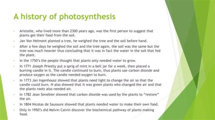 Who first discovered photosynthesis?