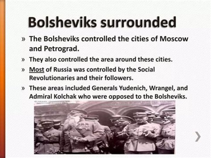 Who were the Bolsheviks and who was their leader