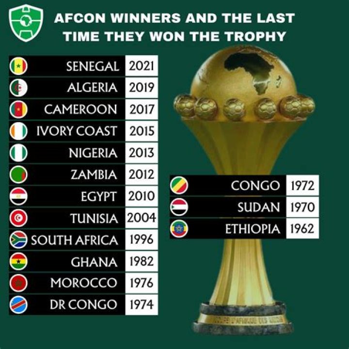 Who won the 2006 African Cup of Nations?