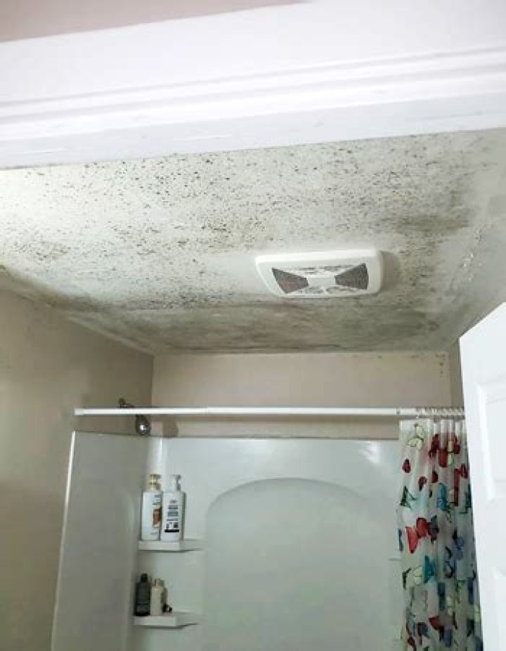 Why am I getting mold in my bathroom?