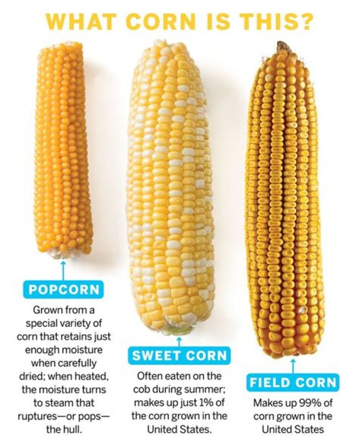 Why are Corn Pops different in Canada
