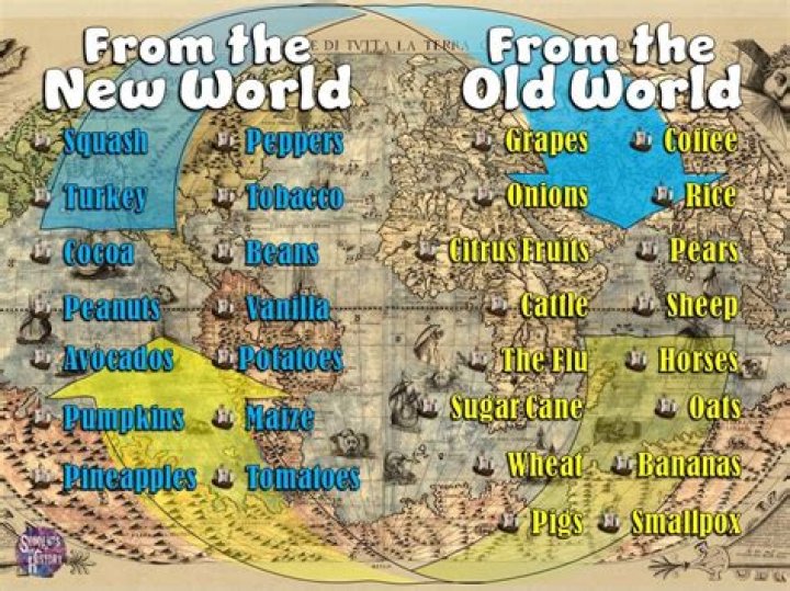 Why did William Bradford come to the New World