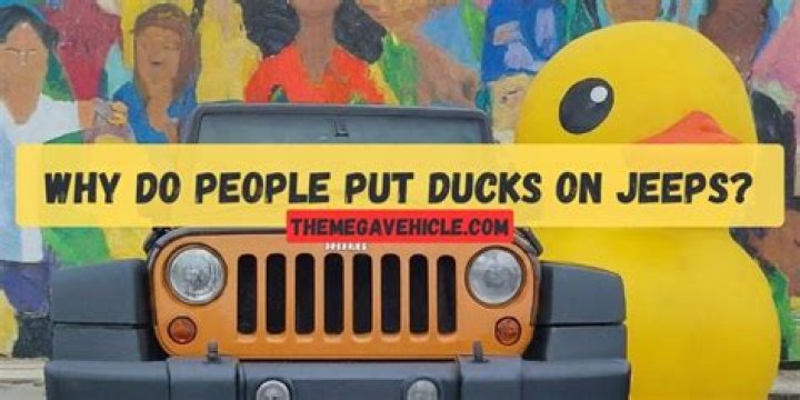 Why do people put bras on cars?