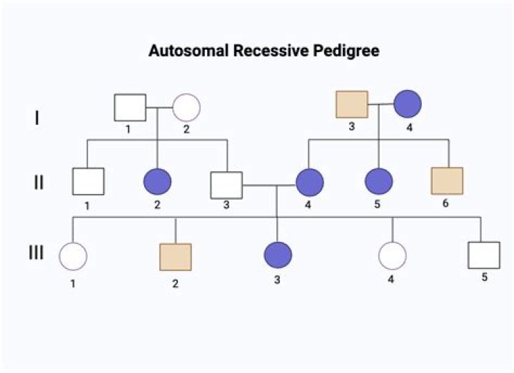 Why do people use pedigrees?