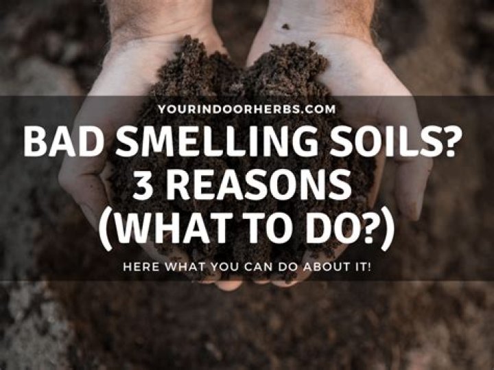 Why does my soil smell bad