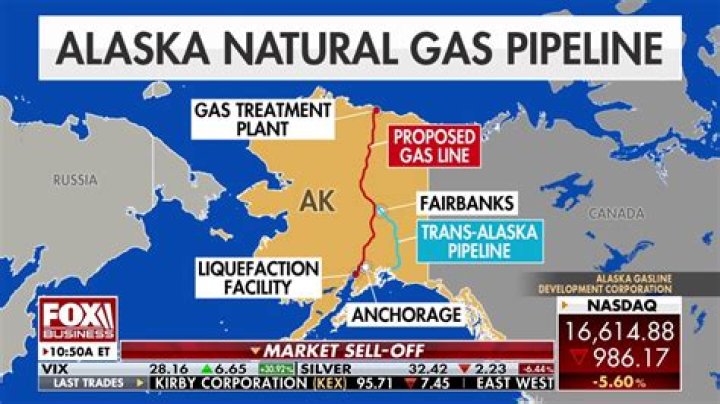 Why does the Alaska pipeline zigzag?