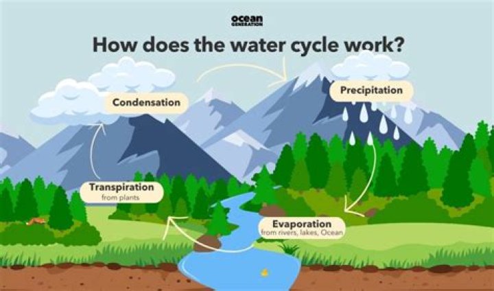 Why does the water run out when making custard?