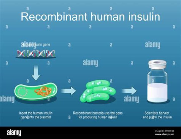 Why is E coli used for insulin