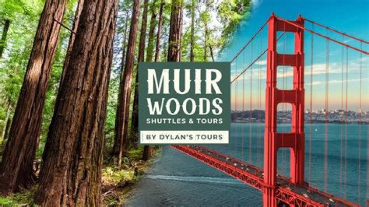 Why is Muir Woods important?