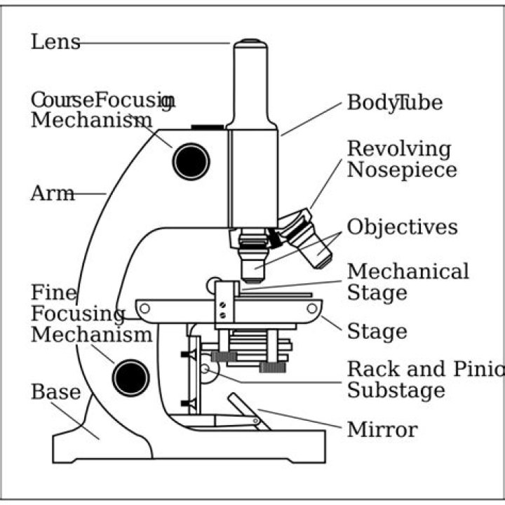 Why is the light microscope called a compound microscope?
