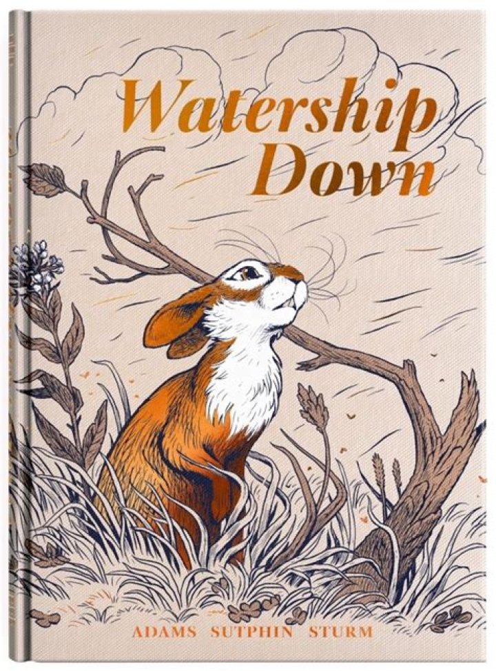 Why is Watership Down called Watership Down