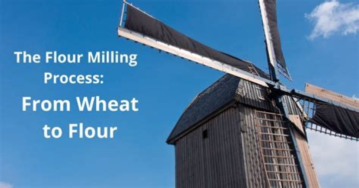 Why is wheat flour fortified