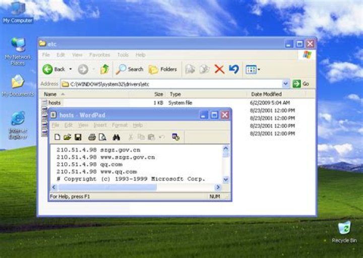 Win32/PSW.Delf.OSF